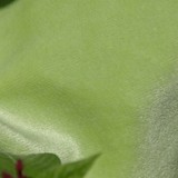 KF331 Bamboo Velour Lime 48cm Offcut